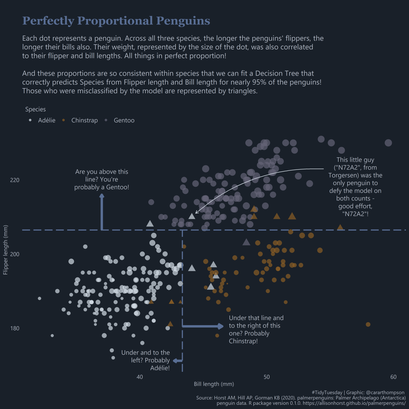 A scatterplot showing penguin flipper lengths (x axis) and bill lengths (y axis), coloured by species; the clusters neatly identify the three different species in the dataset. The visualisation is clearly annotated with dashed lines showing the decision nodes; any misclassified penguins are a triangle shape rather than a dot.